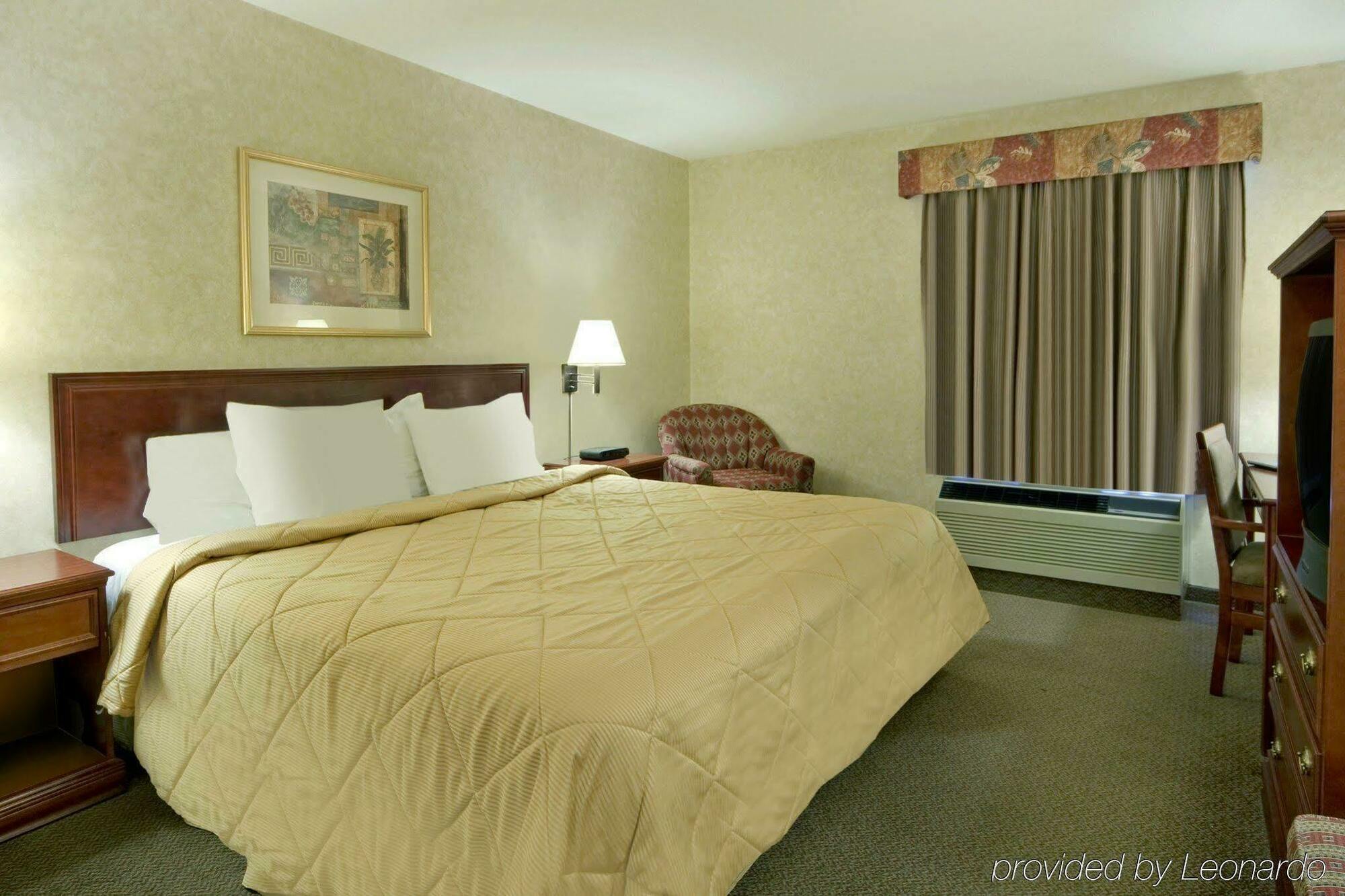Comfort Inn & Suites University YYC Zimmer foto